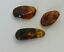 BALTIC AMBER PENDANT SMALL BROWN, PRICE IS FOR 3 ITEMS  9.0 gm ALLUREGEM S1877