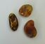 BALTIC AMBER PENDANT SMALL BROWN, PRICE IS FOR 3 ITEMS  6.87 gm ALLUREGEM S1891