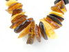 BALTIC AMBER NECKLACE CHIPS GRADUATED, HONEY 71 gm 29 " ALLUREGEM S1253