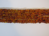 Natural Baltic Amber Bead Strands Rondelle Honey 25 gm 16" Alluregem E1281