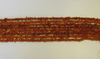 Genuine Baltic Amber Chips, 2 Strands, Grade B/C Light Honey 12 - 13 Grams 16" Alluregem E1290