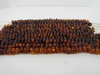 Natural BALTIC AMBER Beads Strands Chubby Rounded Baroque Cognac 9 - 10 mm 10 - 12 grams 8" Alluregem E2109