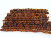 Natural BALTIC AMBER Beads Strands Chubby Rounded Baroque Cognac 9 - 10 mm 10 - 12 grams 8" Alluregem E2109