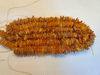 Natural Raw Baltic Amber Large Chips Beads strands, 30 - 35 gm, 13 - 20 mm, 16 " Alluregem E2144