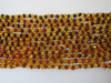 Natural Baltic Amber Bead Strands, Multi-color, Rounded Baroque 12 - 14 Grams, 7 - 8 MM 16" Alluregem E2155