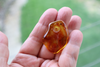 GENUINE BALTIC Amber Pendant Bead, Dark Honey Focal 4.6 gm Alluregem E3138