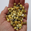 Natural Baltic Amber Beads, Medium Green and White Amber Baroque Beads, Available in 5- 20 Gram Packs Alluregem E3143