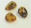 BALTIC AMBER PENDANT SMALL BROWN, PRICE IS FOR 3 ITEMS  7.22 gm ALLUREGEM S1869