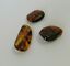 BALTIC AMBER PENDANT SMALL BROWN, PRICE IS FOR 3 ITEMS 7.16 gm ALLUREGEM S1875