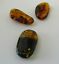 BALTIC AMBER PENDANT SMALL BROWN, PRICE IS FOR 3 ITEMS  6.44 gm ALLUREGEM S1865