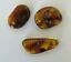 BALTIC AMBER PENDANT SMALL BROWN, PRICE IS FOR 3 ITEMS  6.26 gm ALLUREGEM S1866