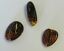 BALTIC AMBER PENDANT SMALL BROWN, PRICE IS FOR 3 ITEMS  9.93 gm ALLUREGEM S1863
